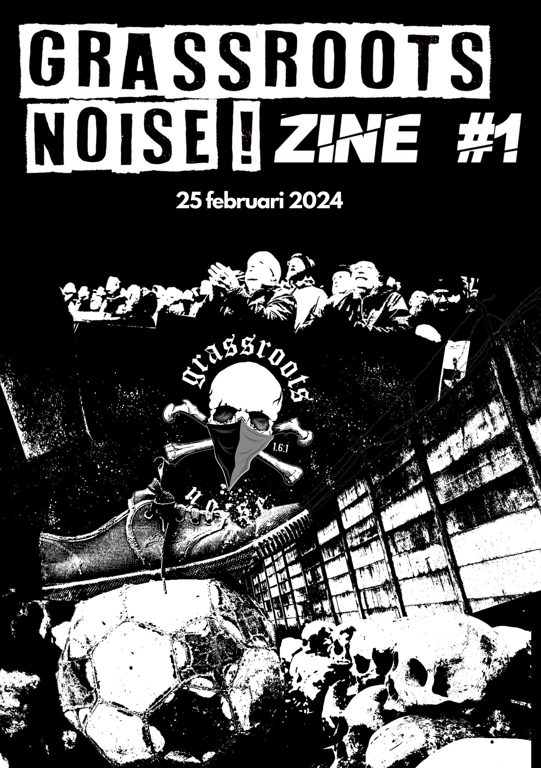 ZINE GRASSROOTS NOISE